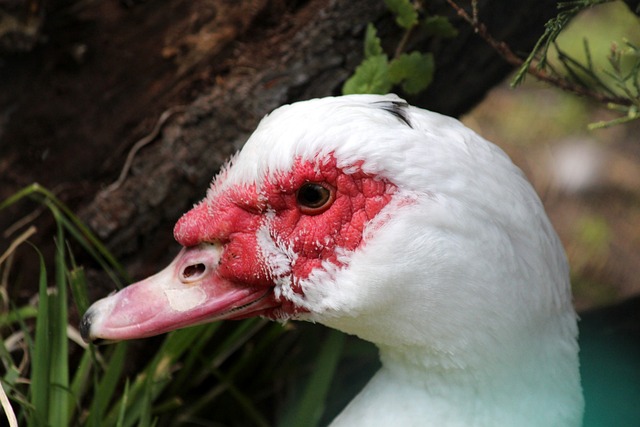 量级别挑战 量级别挑战