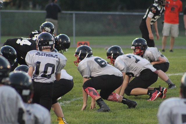 凭借不凡的 凭借不凡的