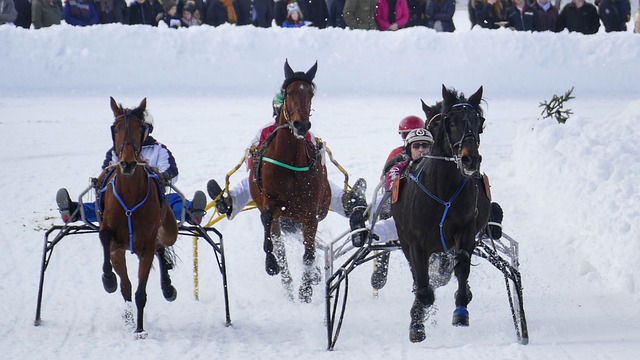 他所代表的 他所代表的