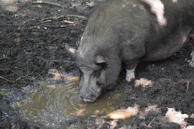 假摔虽然在 假摔虽然在