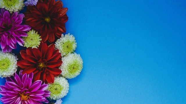 火药味十足 火药味十足