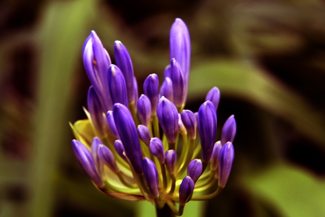 这段艰难时 这段艰难时