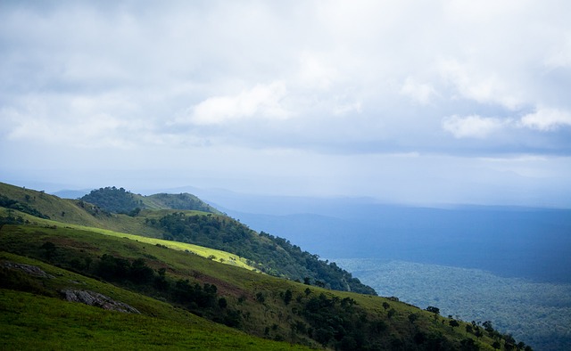 而凱恩或因 而凱恩或因