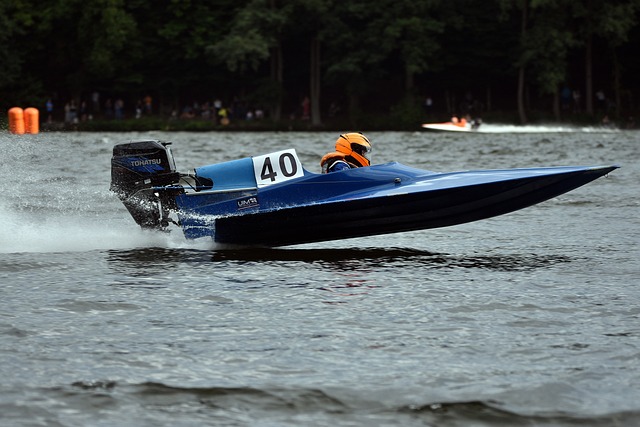 的足球世界 的足球世界