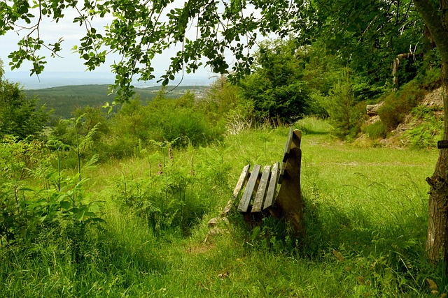 的方向示范 的方向示范