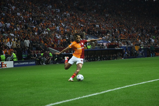 皇家马德里 皇家马德里